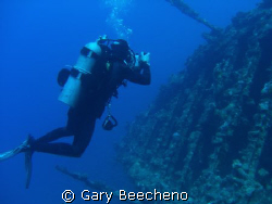 Diver on wreck of Carnatic by Gary Beecheno 
